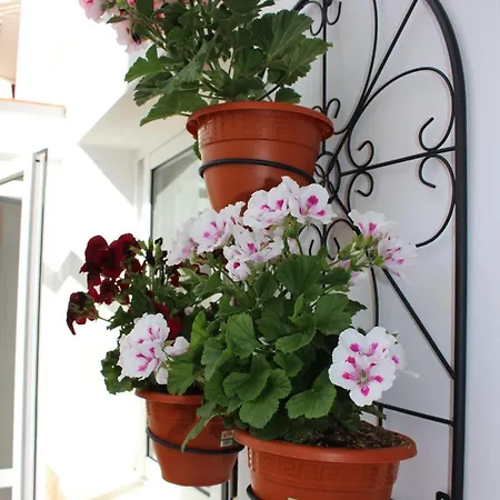 Apartment In Strandnaehe